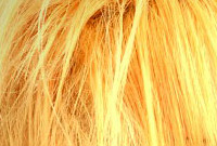 Hair Color Essentials, Part One