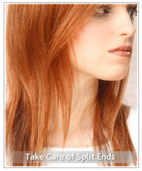 Model with long red hair