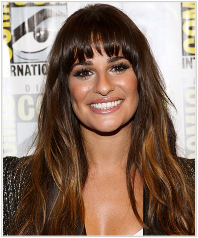 Lea Michele Long Straight Brunette Hairstyle.