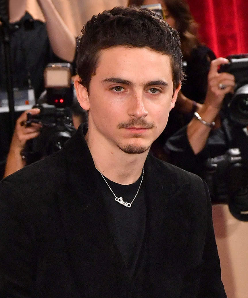 Timothee Chalamet Hairstyle Golden Globes 2026