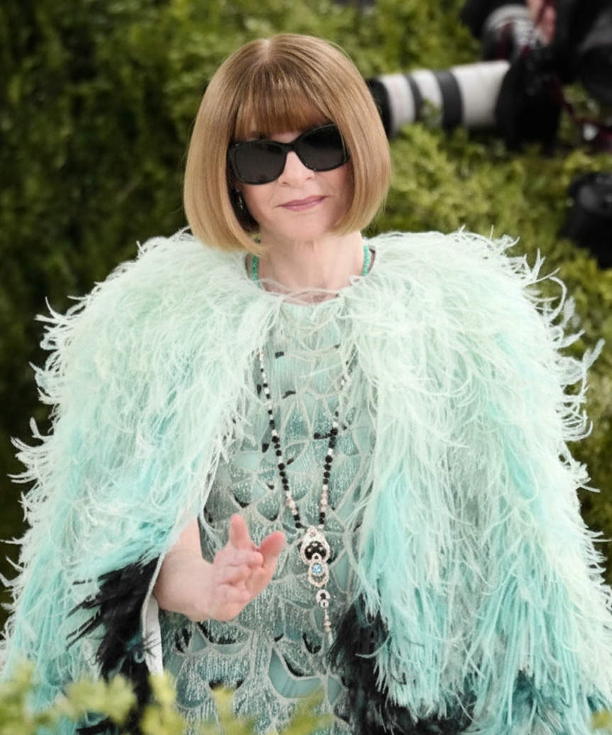 Anna Wintour Hairstyle - 2026 Met Gala