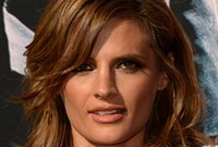 Stana Katic S Makeup For Golden Brown Hairstyles